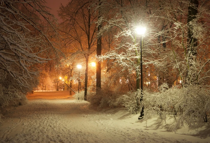black street lamp road landscape night nature lights lantern 2k 4k 5k