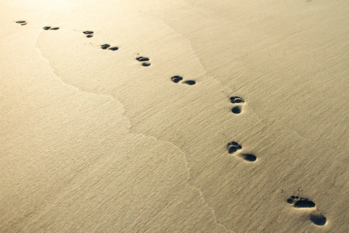foot print on the sand footsteps grey beach sunrise footprints 2k 4k 5k