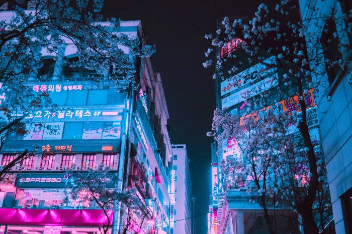 Neon Blossom photo of buildings during night neonwave outrun 2k 4k 5k 8k