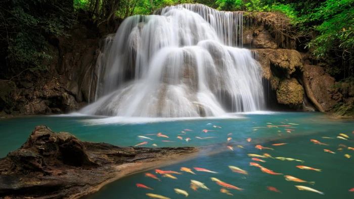 top nature scenery pics 2k 4k 5k 8k