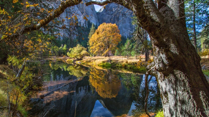 Yosemite wallpaper forest OSX apple mountains 2k 4k 5k