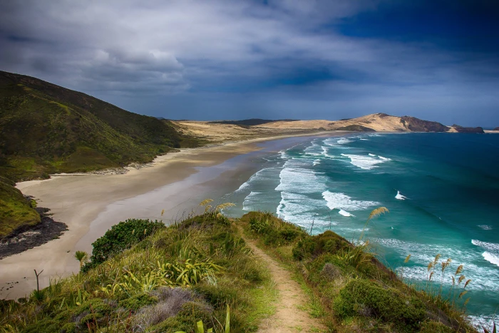 sea ocean bay beach coast new zealand 2k 4k 5k