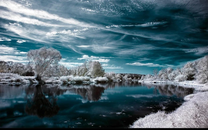 snowy woods scenery nature 2k