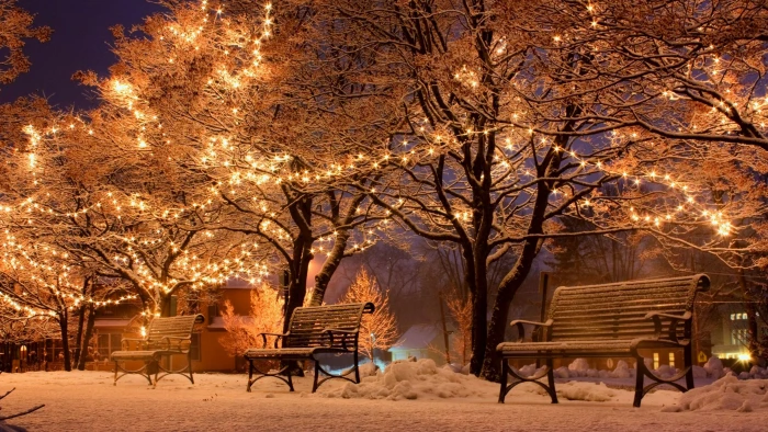 winter snow christmas lights branch tree night evening 20 2k 4k