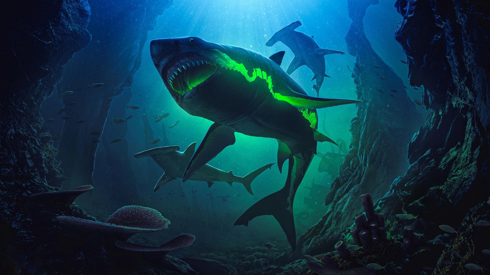 Sharks 2k