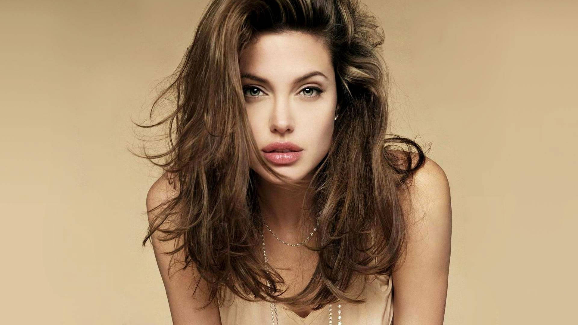 actress angelina jolie layered hairdo hollywood
