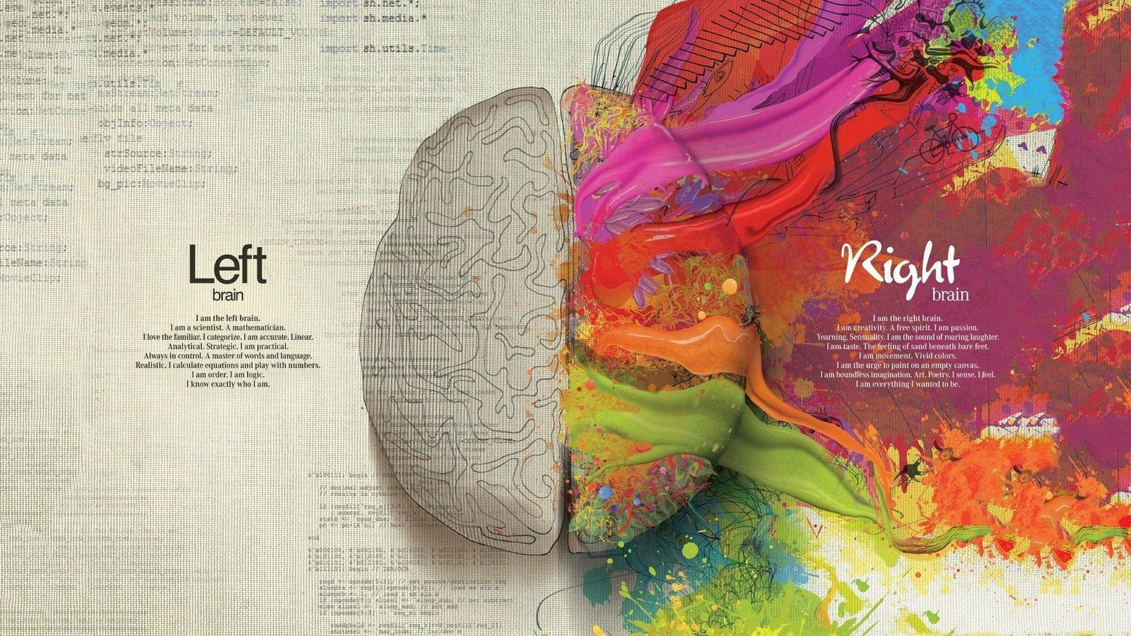 multicolored brain illustration Human Brain painting abstract 3