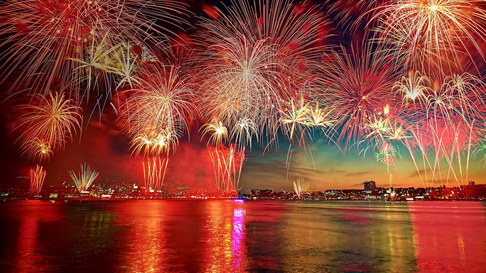firework july night celebration holiday new design light