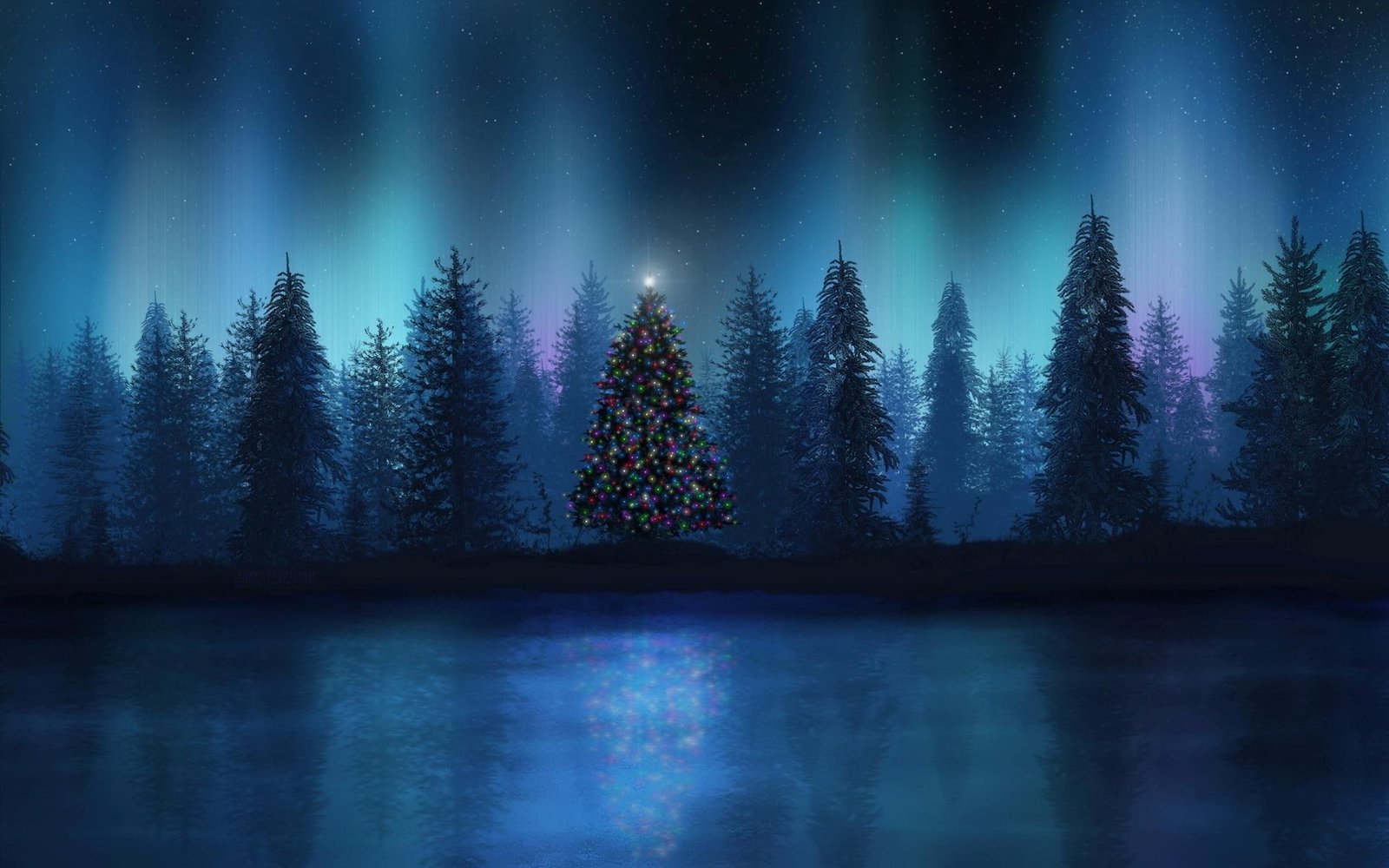Christmas tree in the forest fine trees holidays