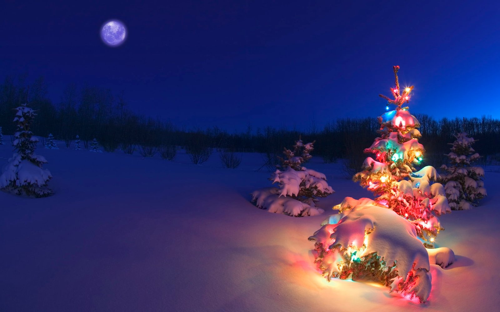 Christmas tree wallpaper holiday christmas lights landscape 70