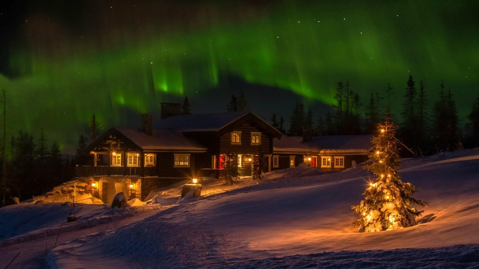 phenomenon polar lights christmas day tree