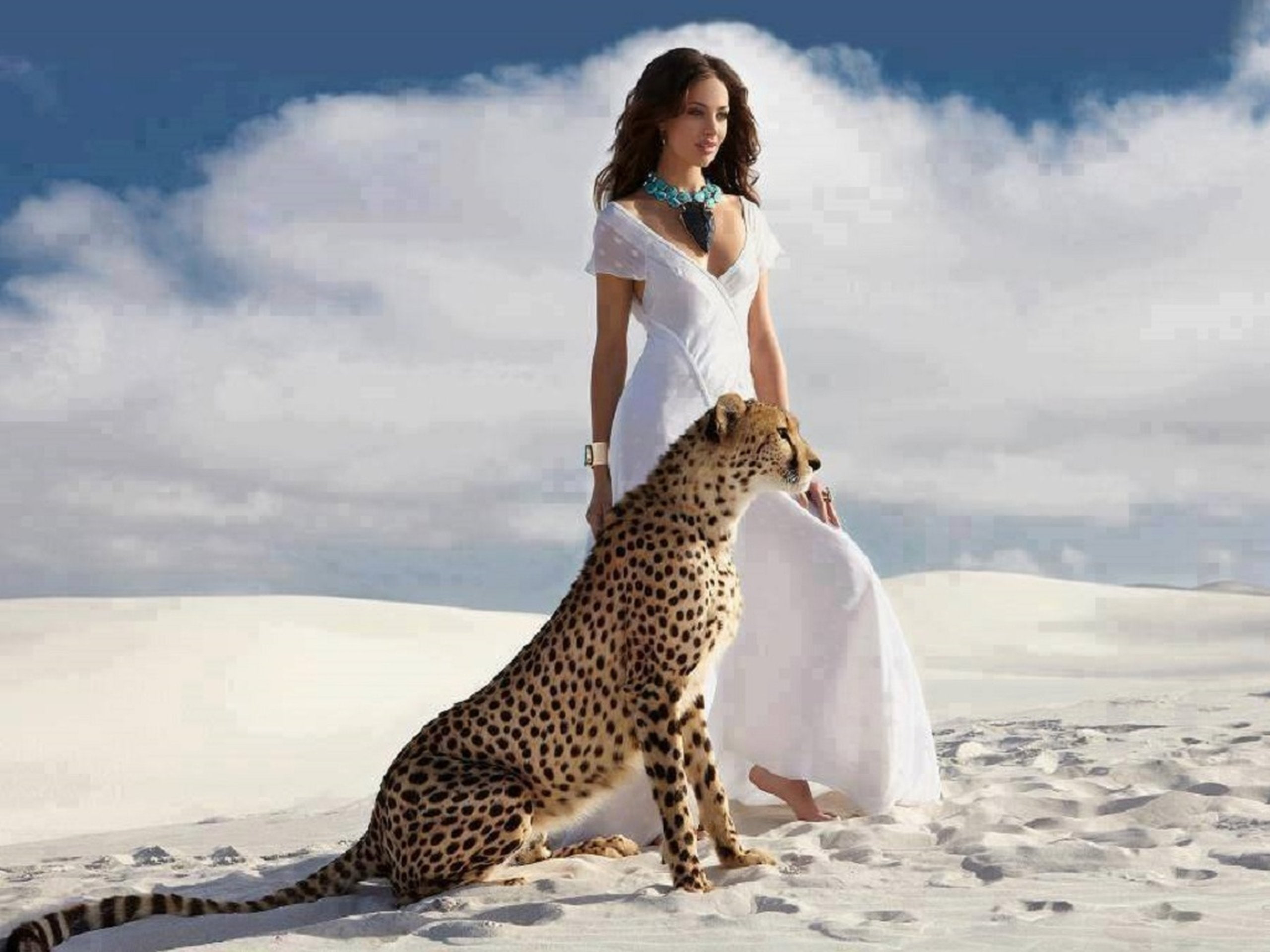 actress animal big cats cheetah fox megan people 2k
