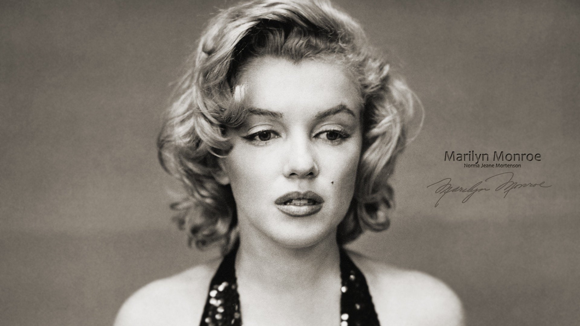 Actresses Marilyn Monroe Black amp; White Celebrity