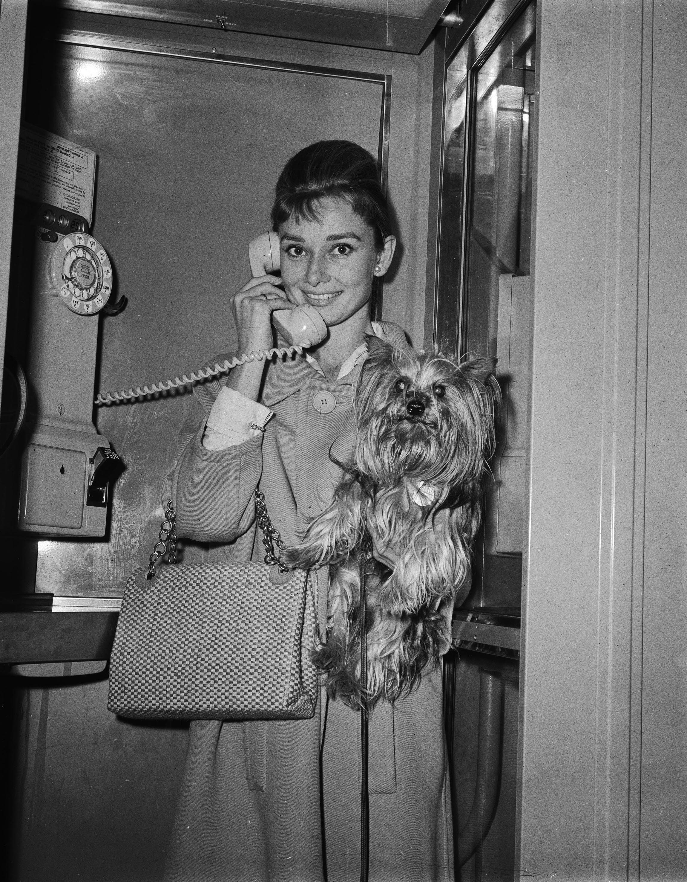 Audrey Hepburn monochrome women actress dog phone box 2k