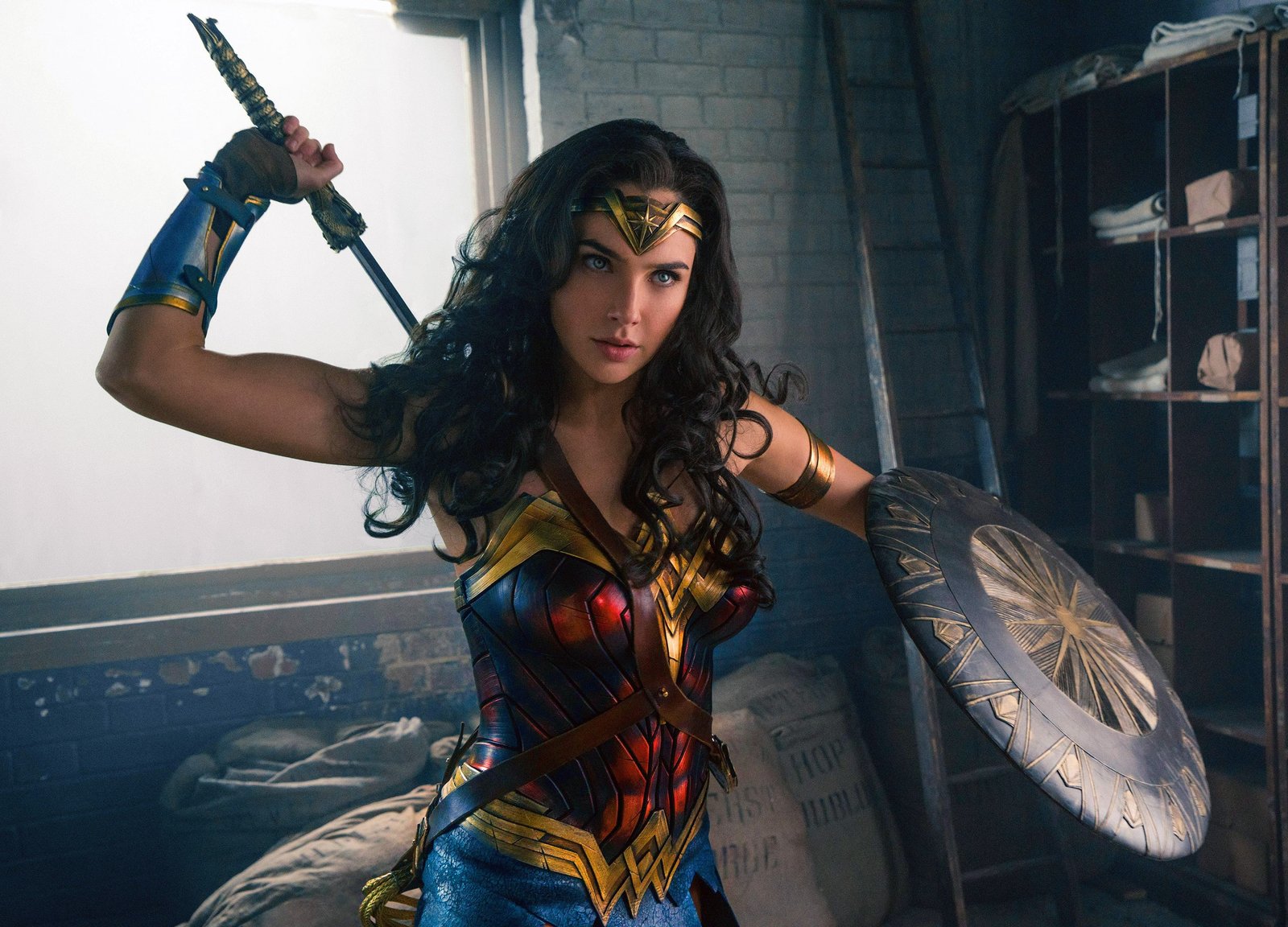 DC Comics dceu Gal Gadot brunette blue eyes actress movies 2k