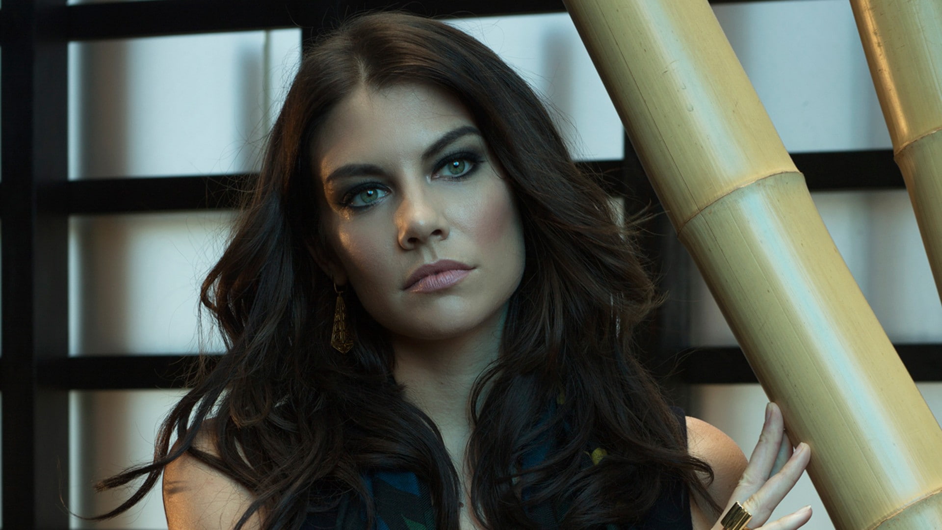 women Lauren Cohan brunette actress face