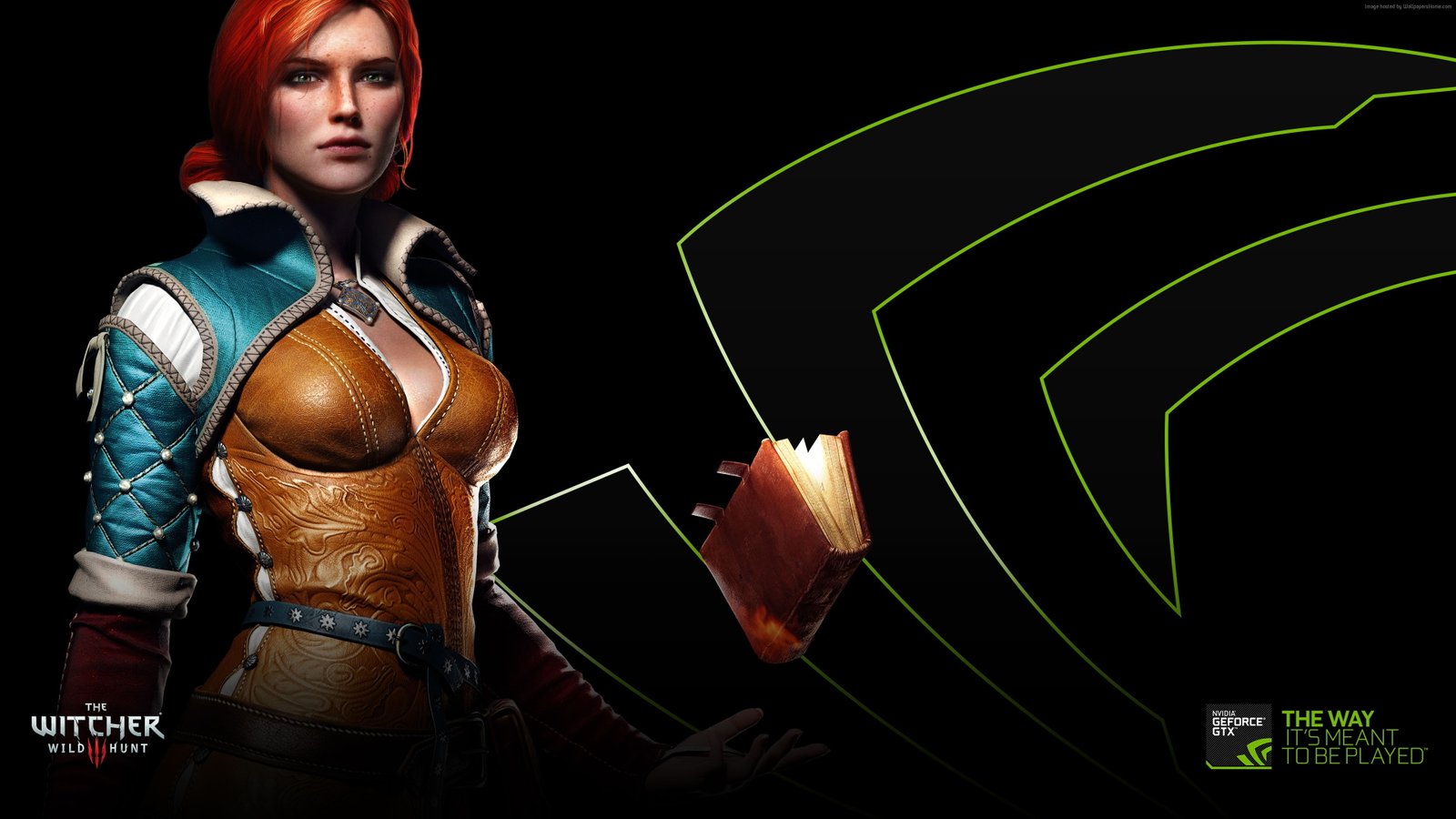 The Witcher 3 Wild Hunt one person women young adult 2k 4k