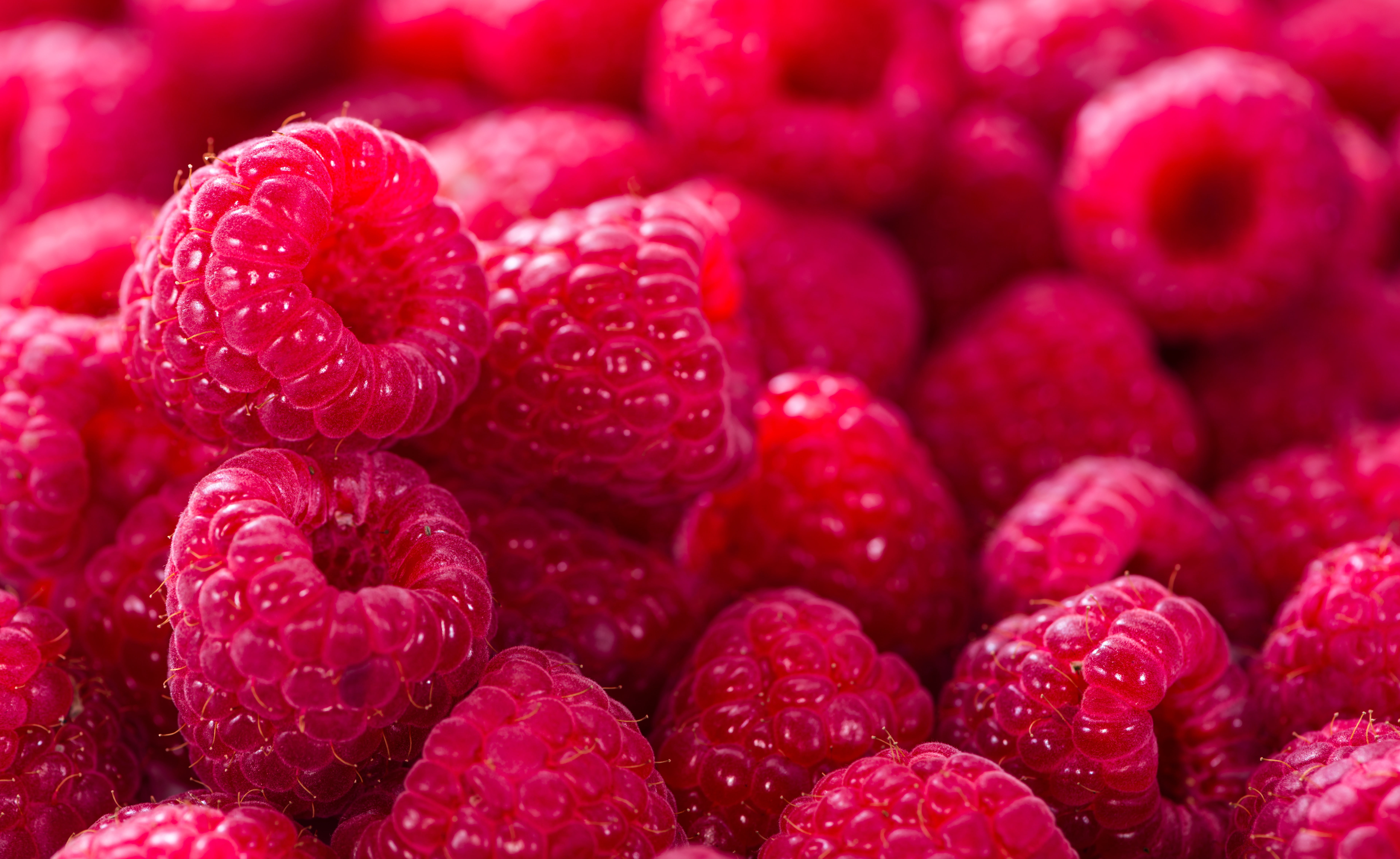 Bokeh Raspberries Red full frame food and drink 2k 4k 5k