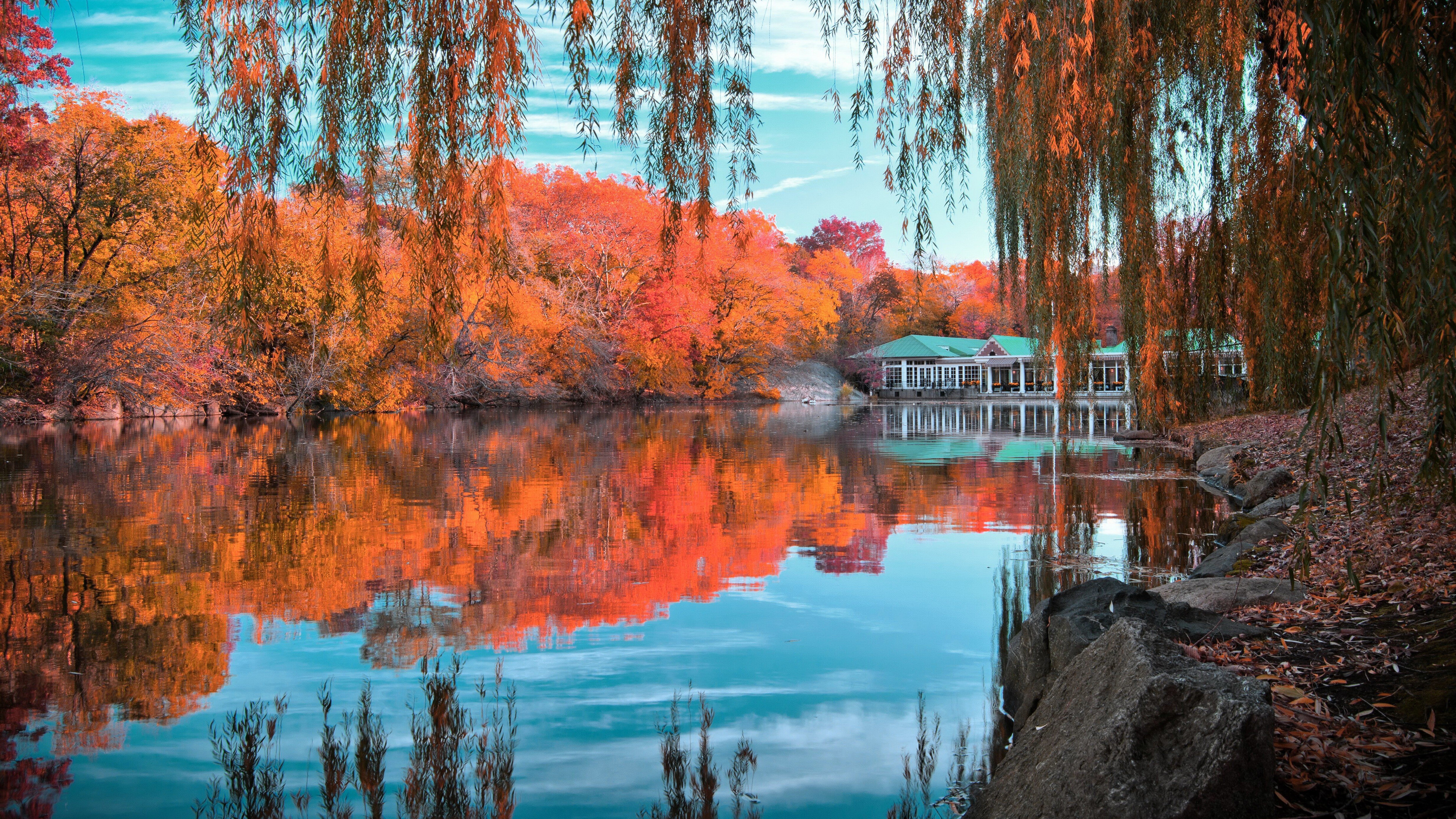 nature download hd reflection water tree autumn change 2k 4k 5k 8k