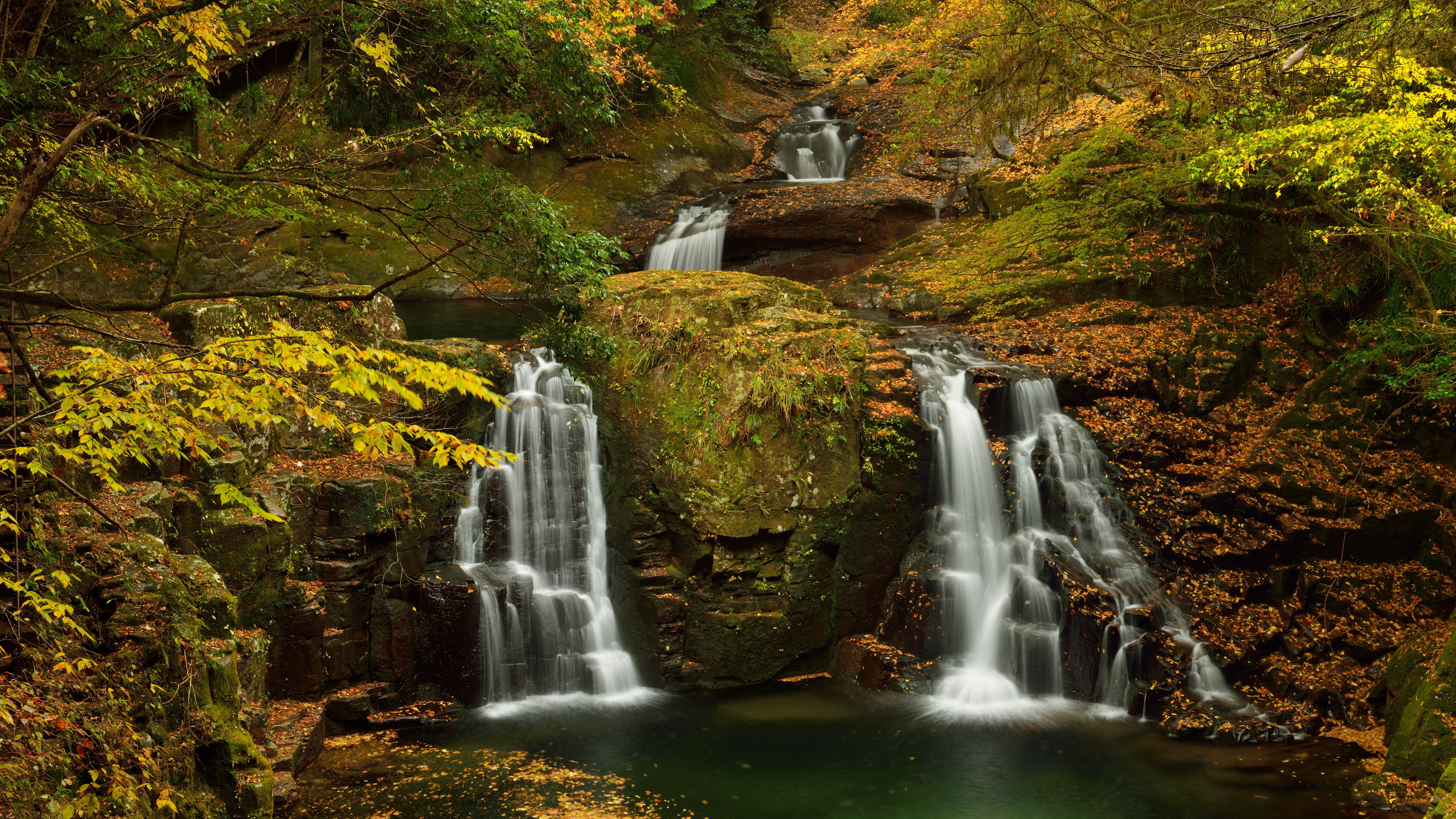nature scene waterfall tree scenics long exposure 2k 4k 5k 8k