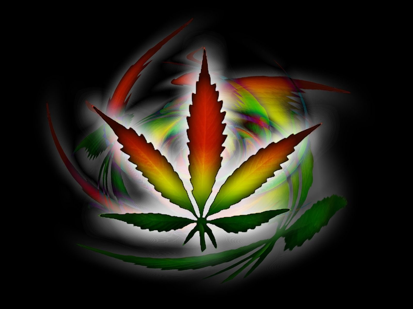 cannabis drug drugs marijuana nature plant psychedelic 2k