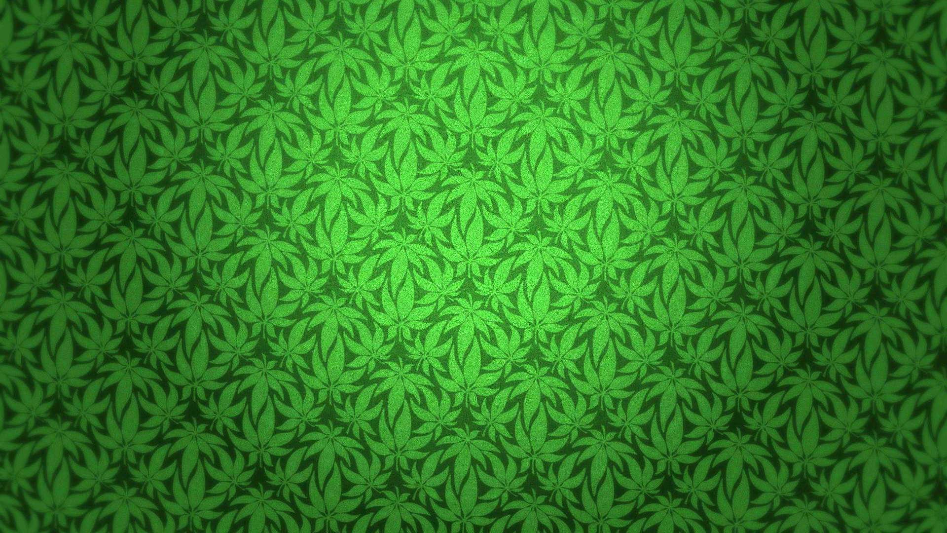 cannabis drug drugs marijuana nature plant psychedelic 2k