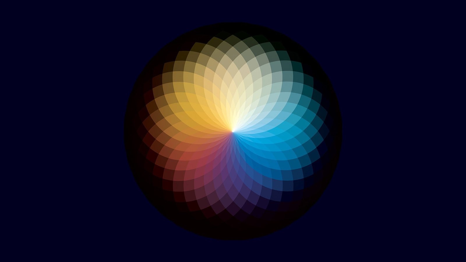multicolored flowe digital wallpaper colorful simple color wheel 2k