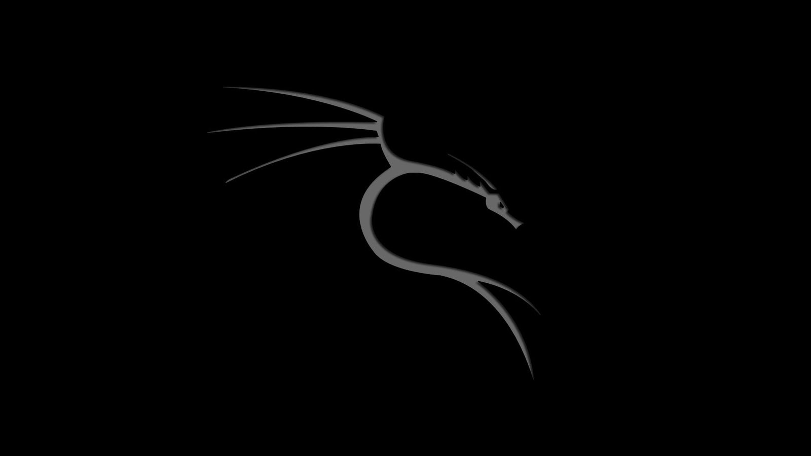 linux kali nethunter photoshop dragon studio shot black background 2k