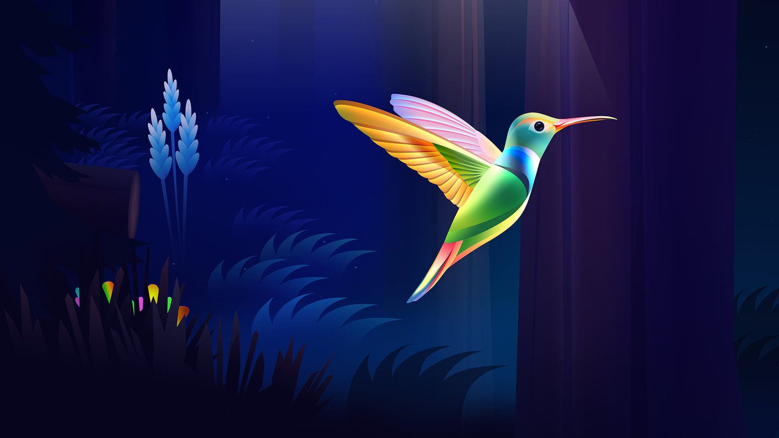 colibri bird colorful wood dark nature 2k