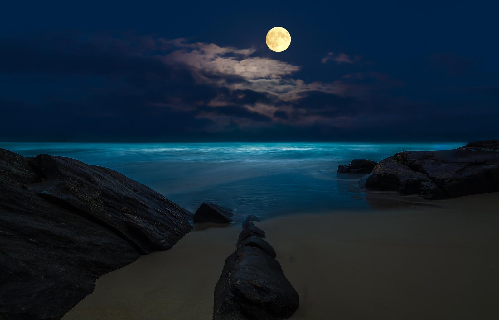 full moon at sea graphic wallpaper beach night rocks the 2k