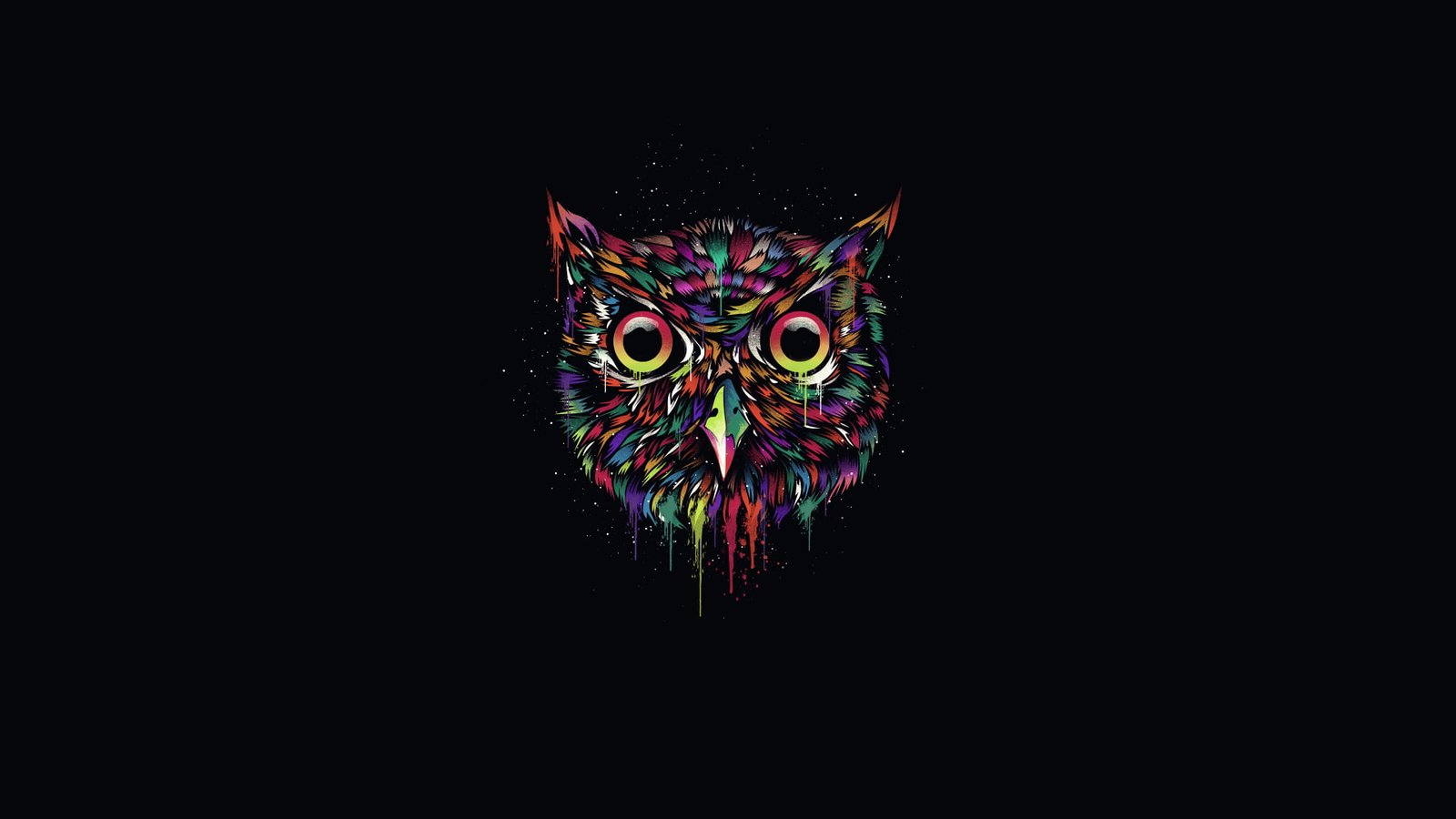 multicolored owl illustration the dark background paint minimalism 2k
