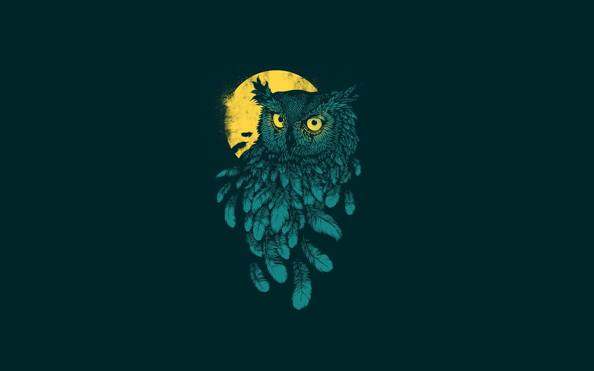 owl animation wallpaper digital art minimalism animals feathers 2k