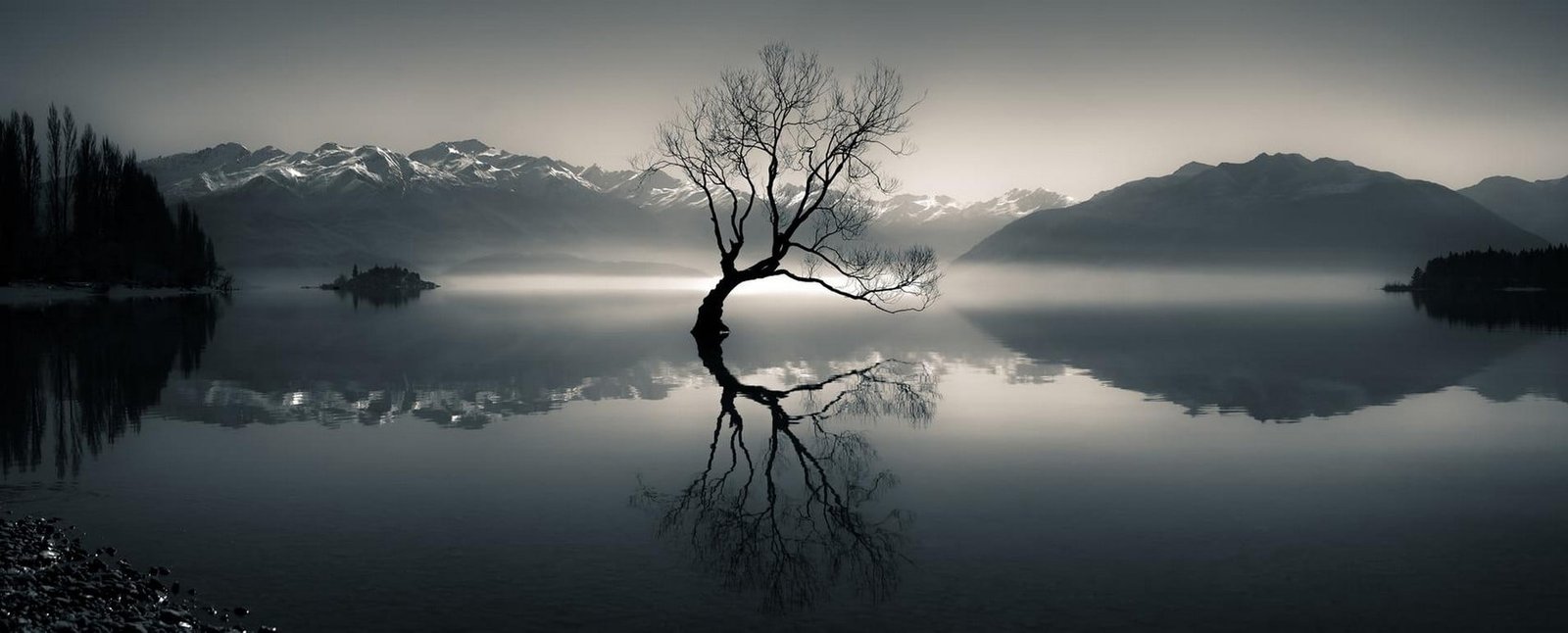 silhouette of bare tree on body water near mountain at daytime 40 2k