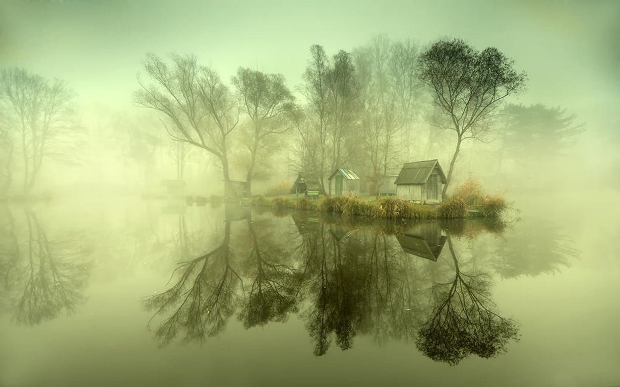 white wooden house nature landscape calm mist hut trees
