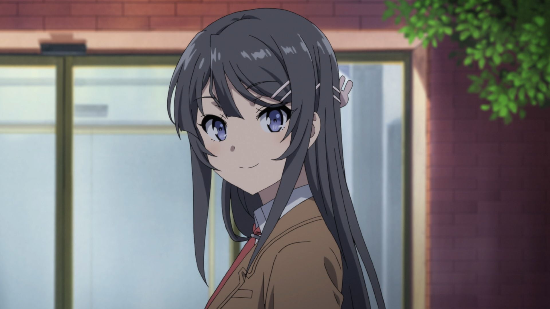 Anime Rascal Does Not Dream of Bunny Girl Senpai Blue Eyes 2k