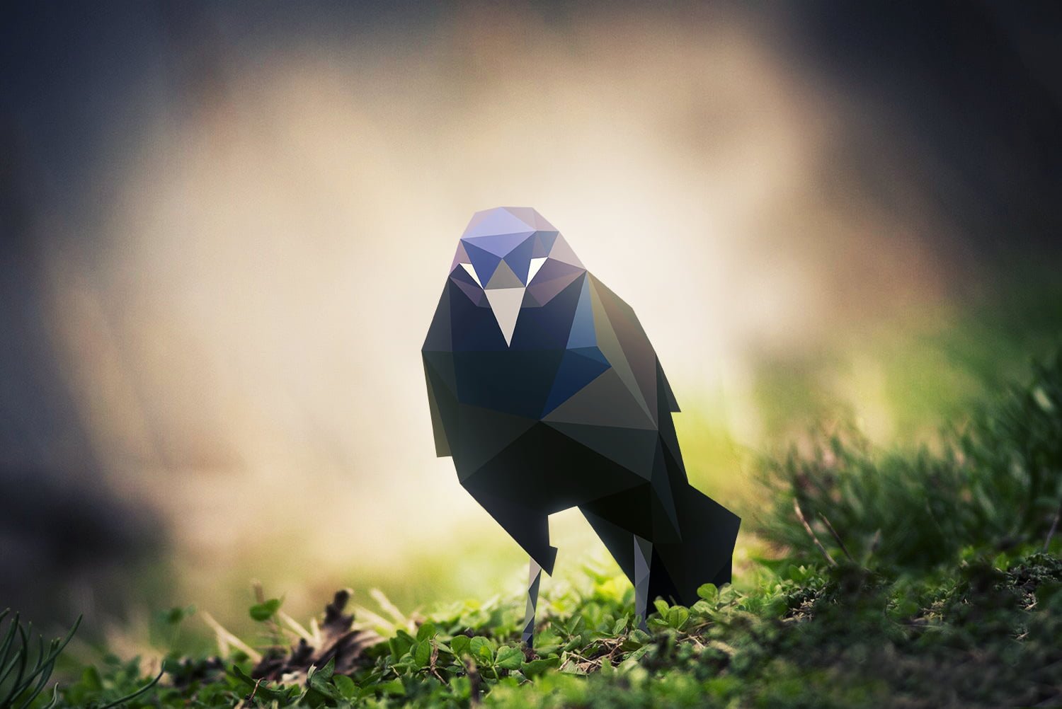 black and blue bird painting nature animals birds low poly 2k