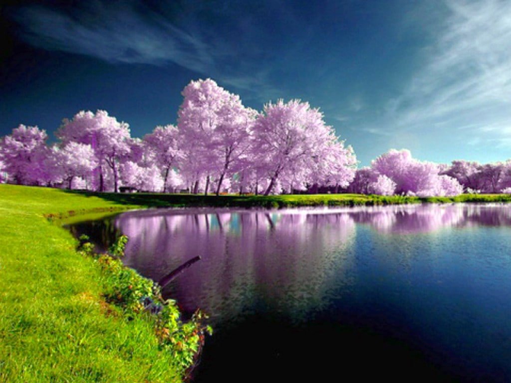 Cool Lake Nature Photography Lakes HD Art