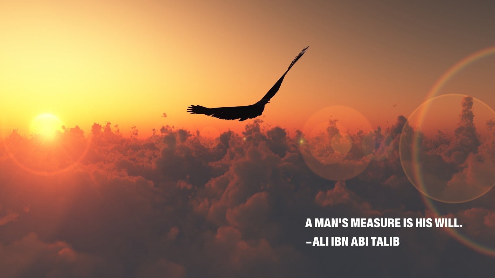 eagle Ali ibn Abi Talib quote Islam nature Imam sunset 2k