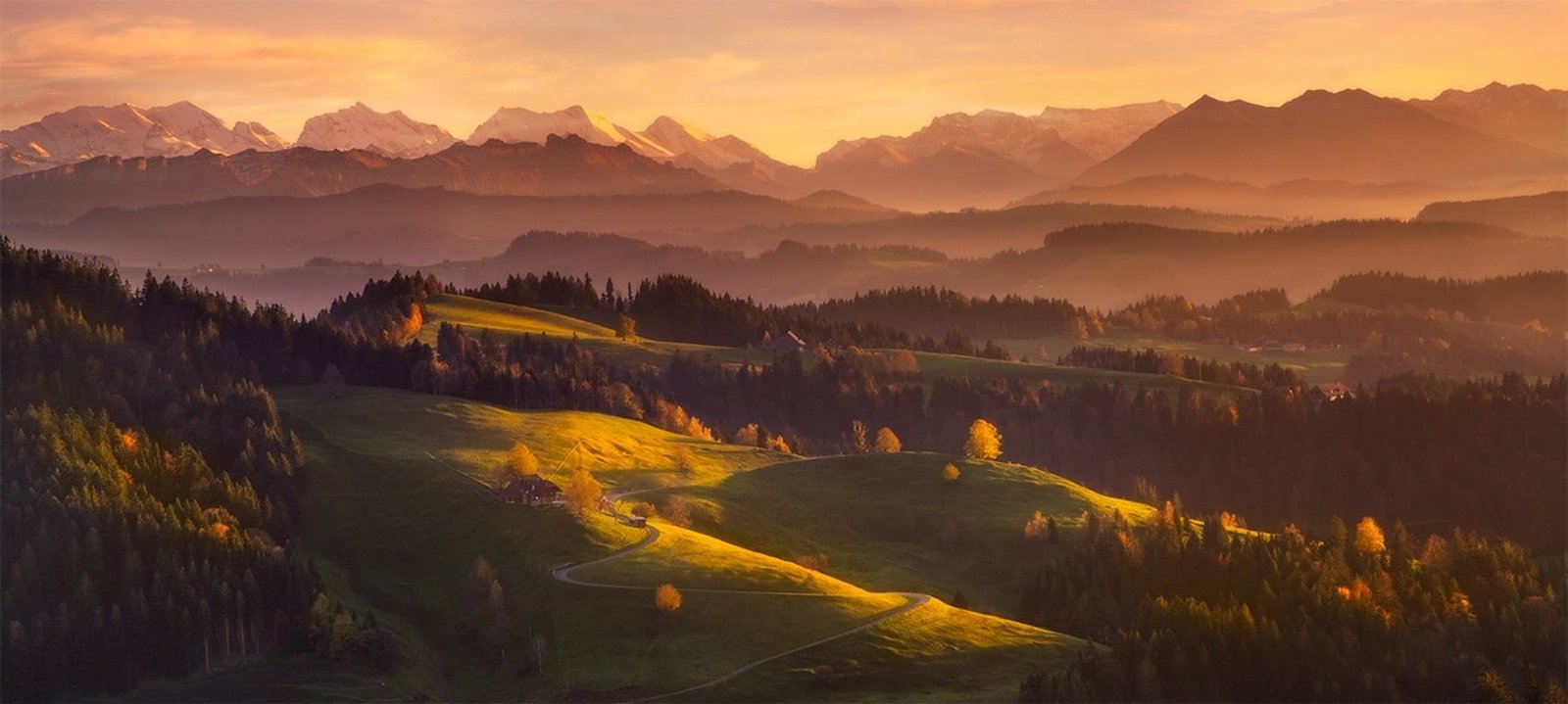 green leafed trees morning mountains forest Switzerland mist 2k