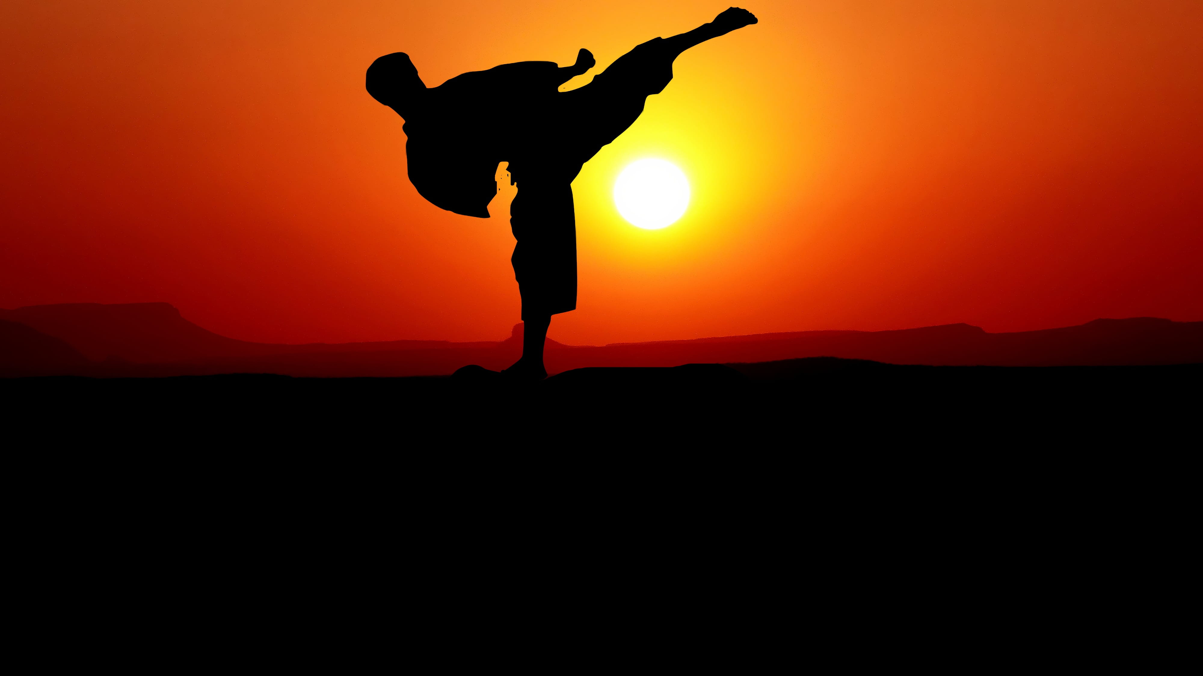 karate sunset nature harmony silhouette the year mental 2k 4k