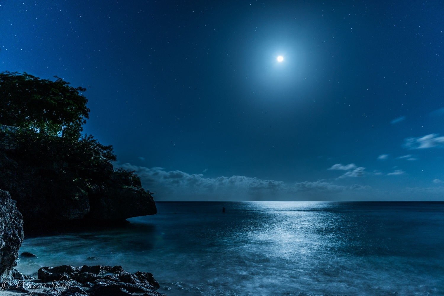 island landscape beach blue moonlight sea nature starry night 2k