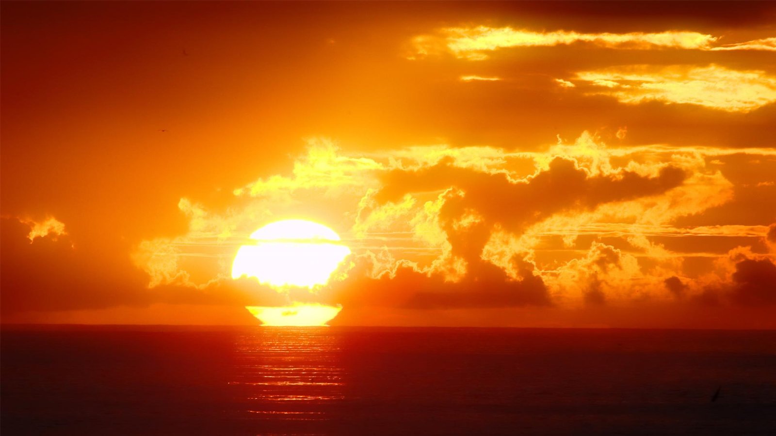 Love In The Evening sunset over the horizon orange 2k