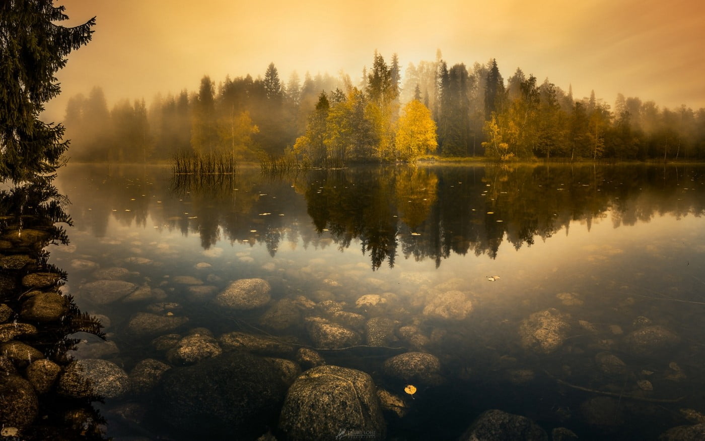 rocks on lake underwater and trees at distance during golden hour