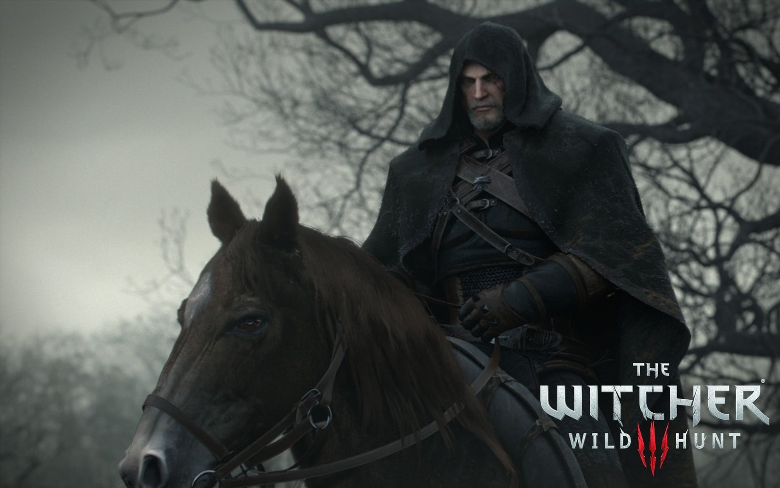 The Witcher Wild Hunt graphic wallpaper 3 2k