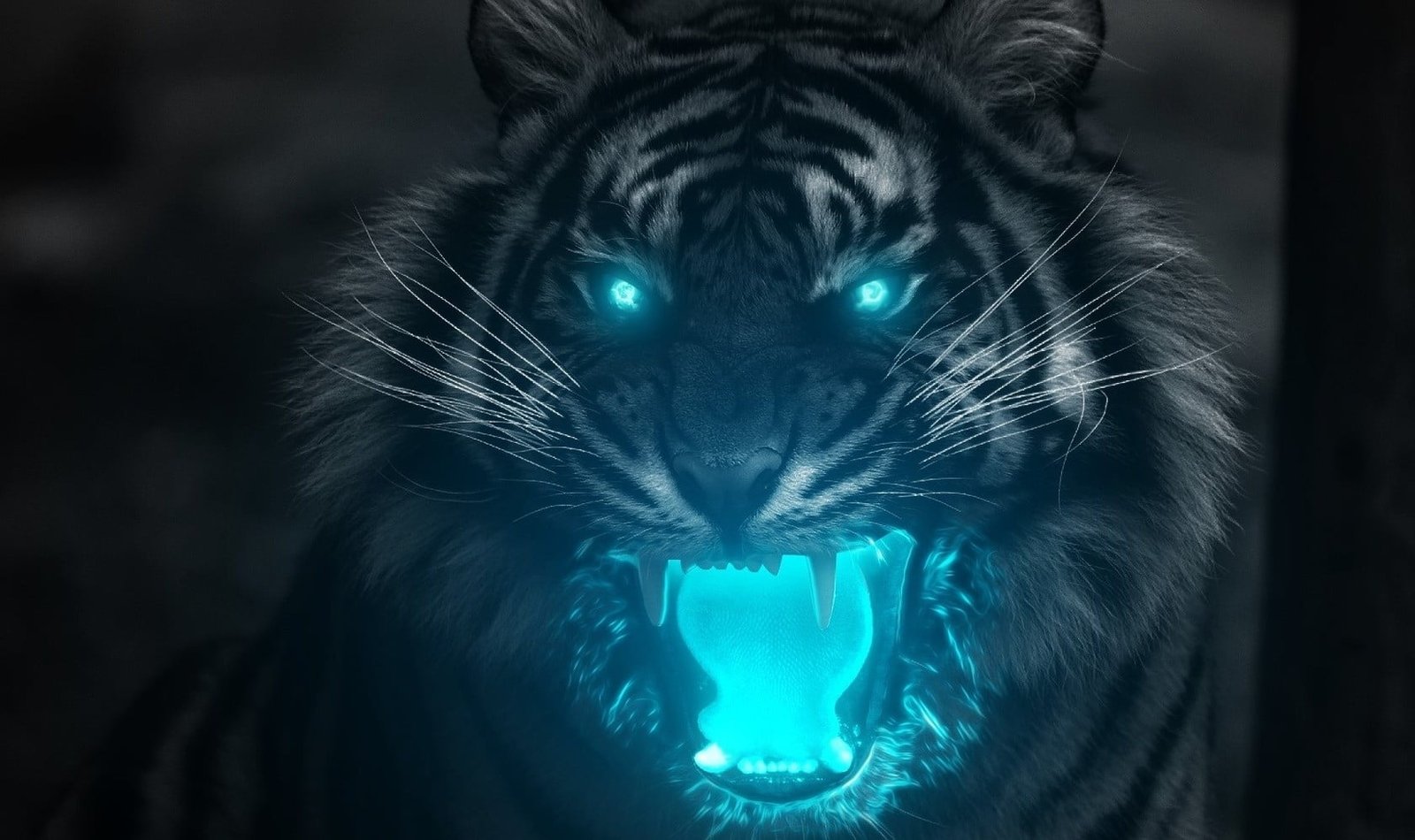 Tiger illustration animals animal themes close up one 2k