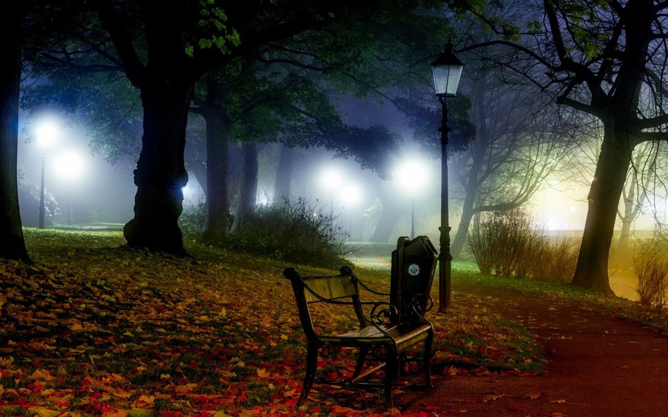 black metal framed brown wooden park bench near post and trees digital wall paper