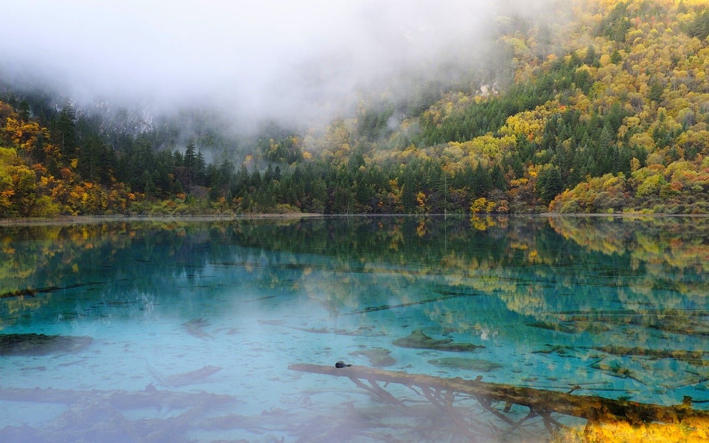 body of water between trees landscape nature lake mountains