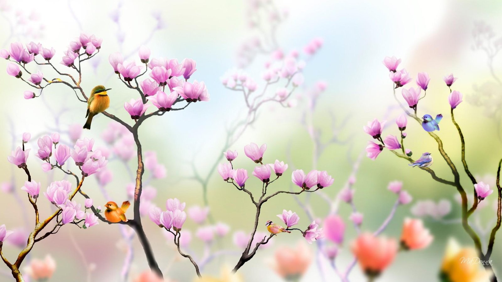 Colorful Birds In Tulip Tree bright garden flowers pink spring 2k