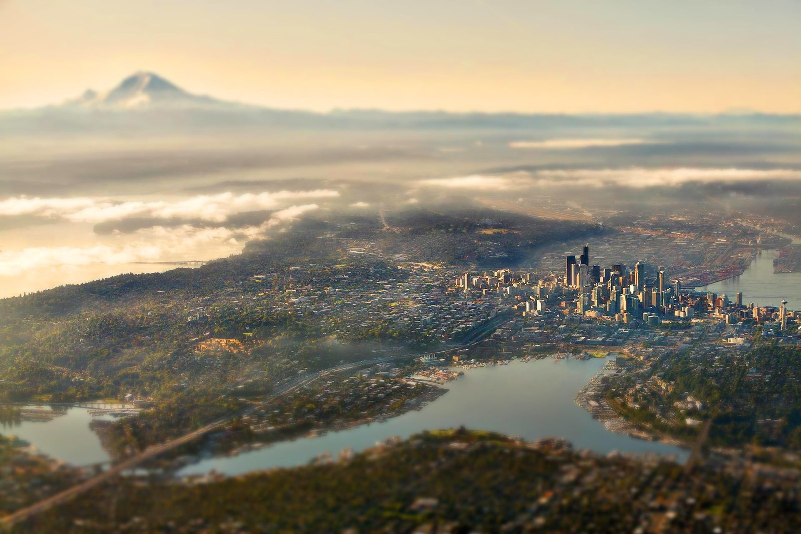 aerial photography of city buildings high rise building photo 2k