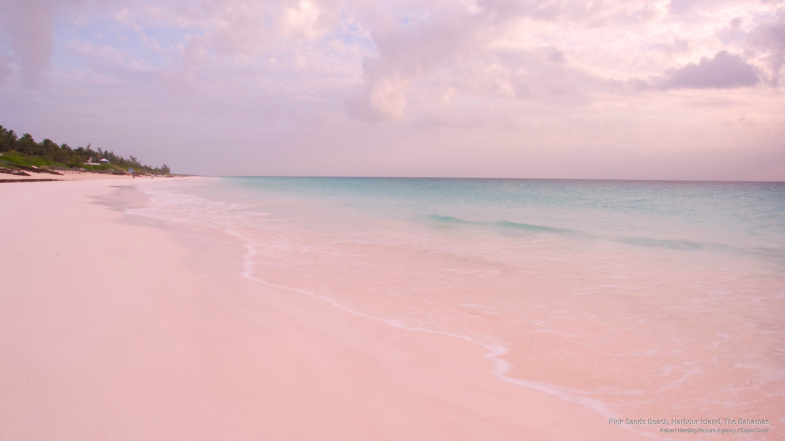 Pink Sands Beach Harbour Island The Bahamas Beaches 2k